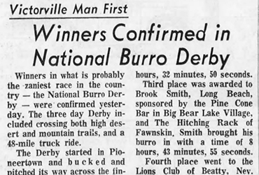 Burro Derby featured image